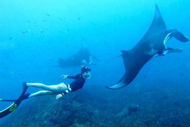 manta bay